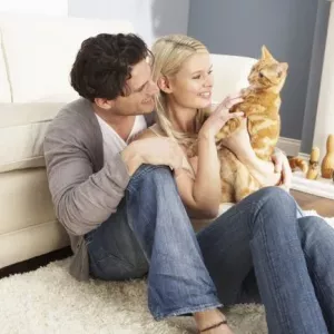 Kako u stanu sadržavati mačića ili mačku za odrasle: pravila za održavanje mačaka kod kuće